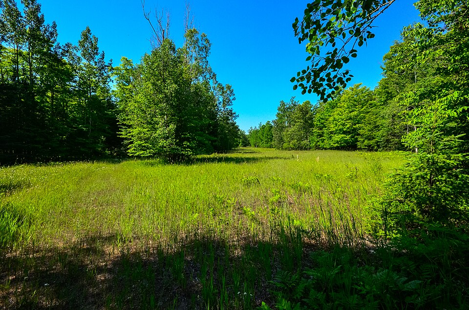 開けたゴルフ場のフェアウェイ（落雷が来た時に危険になりやすい場所）