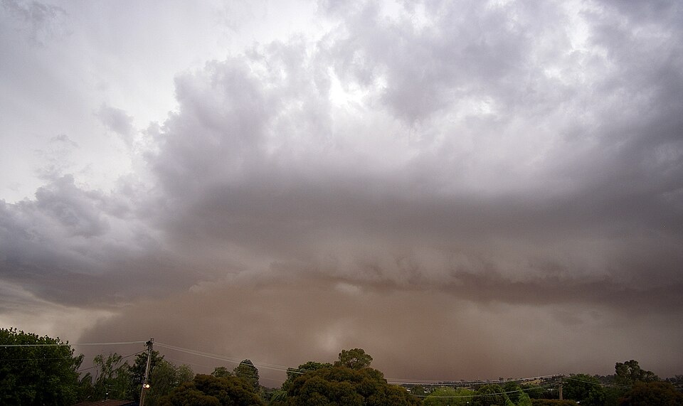 雷雲の突風で砂塵が立ち上がるアウトフローバウンダリー（豪州ワガワガ）