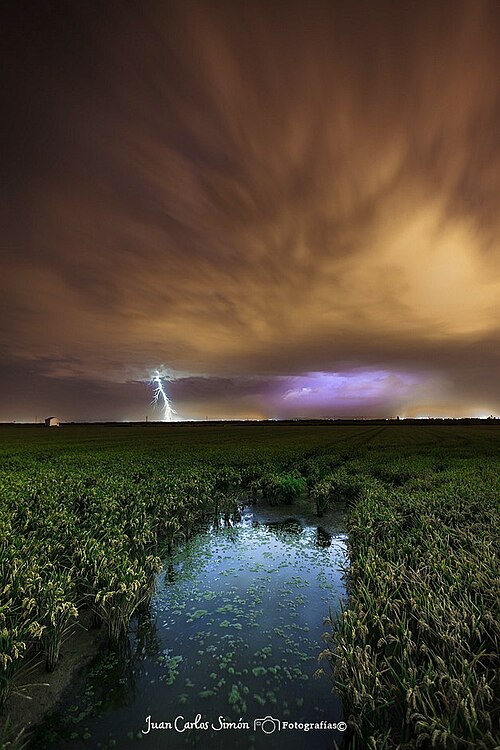 田んぼの上で走る夜の稲妻