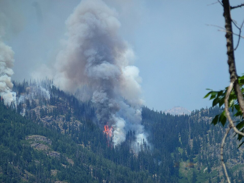 落雷が引き起こした森林火災(山肌に広がる煙と炎)