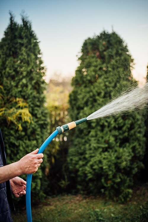 ホースで芝生に水をまく様子（流れる水でイメージする電流）